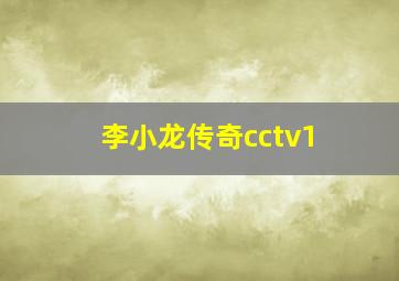 李小龙传奇cctv1