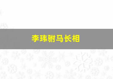 李玮驸马长相