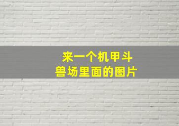 来一个机甲斗兽场里面的图片