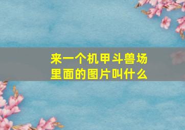 来一个机甲斗兽场里面的图片叫什么