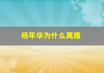 杨年华为什么离婚