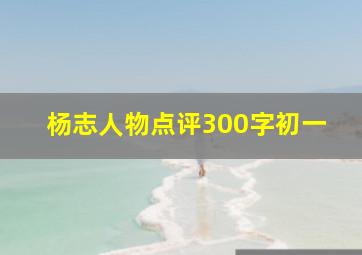 杨志人物点评300字初一