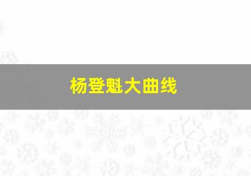 杨登魁大曲线