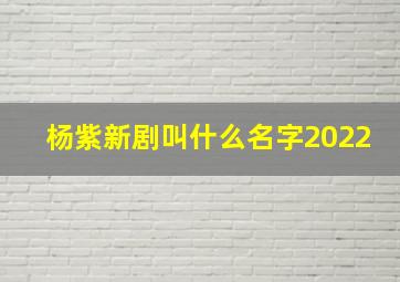 杨紫新剧叫什么名字2022