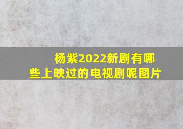 杨紫2022新剧有哪些上映过的电视剧呢图片