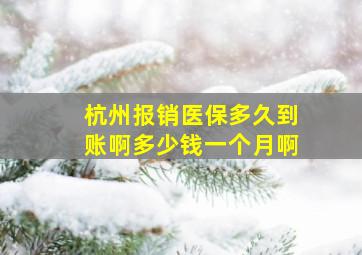 杭州报销医保多久到账啊多少钱一个月啊