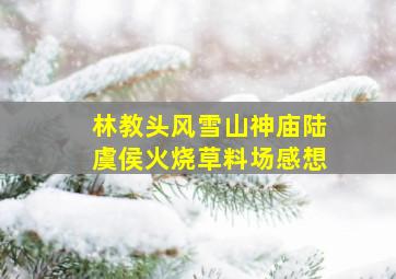 林教头风雪山神庙陆虞侯火烧草料场感想