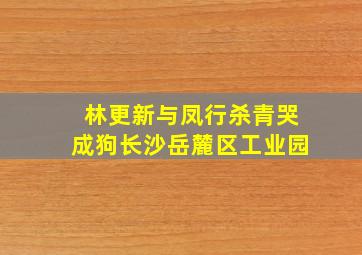 林更新与凤行杀青哭成狗长沙岳麓区工业园