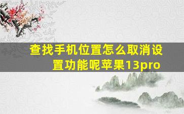 查找手机位置怎么取消设置功能呢苹果13pro