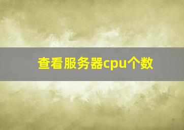 查看服务器cpu个数