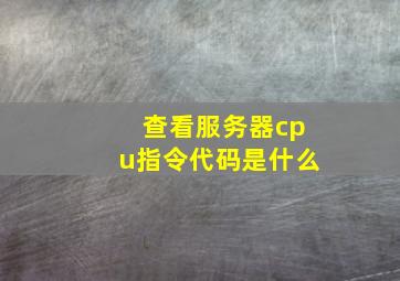 查看服务器cpu指令代码是什么