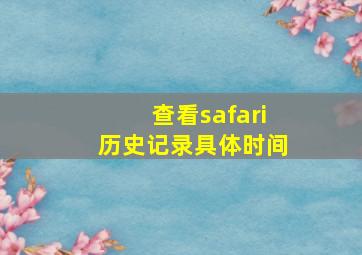 查看safari历史记录具体时间