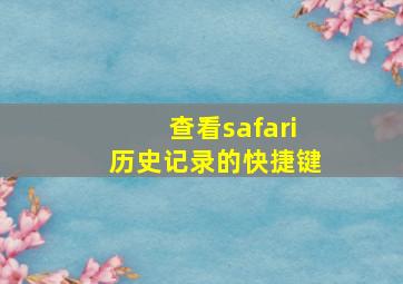 查看safari历史记录的快捷键