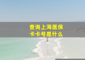 查询上海医保卡卡号是什么