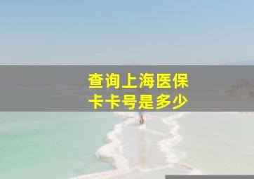 查询上海医保卡卡号是多少