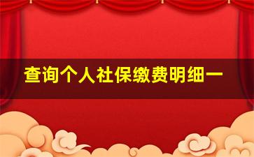 查询个人社保缴费明细一