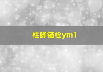 柱脚锚栓ym1