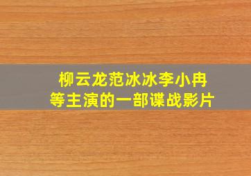 柳云龙范冰冰李小冉等主演的一部谍战影片