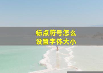 标点符号怎么设置字体大小