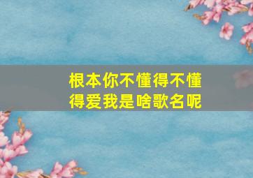 根本你不懂得不懂得爱我是啥歌名呢