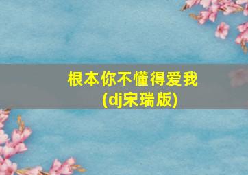 根本你不懂得爱我 (dj宋瑞版)