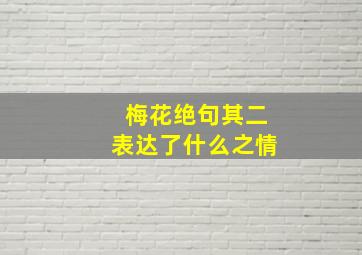 梅花绝句其二表达了什么之情