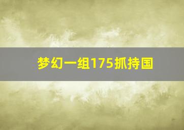 梦幻一组175抓持国