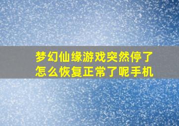 梦幻仙缘游戏突然停了怎么恢复正常了呢手机