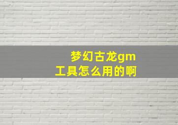 梦幻古龙gm工具怎么用的啊