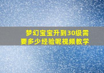 梦幻宝宝升到30级需要多少经验呢视频教学