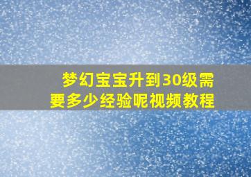 梦幻宝宝升到30级需要多少经验呢视频教程