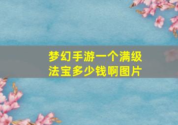 梦幻手游一个满级法宝多少钱啊图片