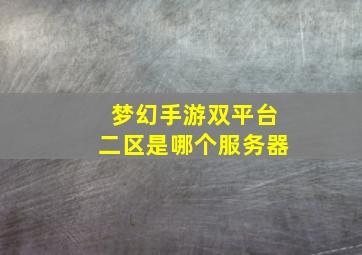 梦幻手游双平台二区是哪个服务器