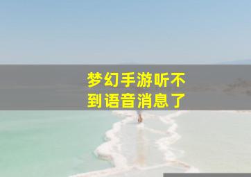 梦幻手游听不到语音消息了