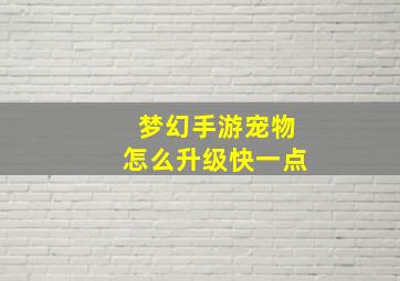 梦幻手游宠物怎么升级快一点