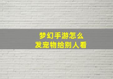 梦幻手游怎么发宠物给别人看