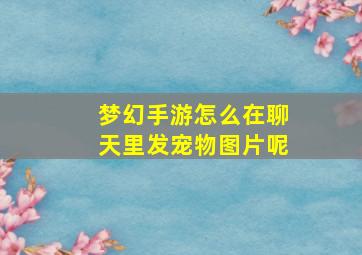 梦幻手游怎么在聊天里发宠物图片呢