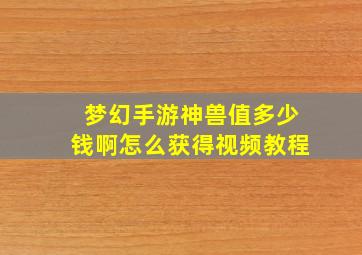 梦幻手游神兽值多少钱啊怎么获得视频教程