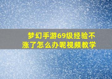 梦幻手游69级经验不涨了怎么办呢视频教学