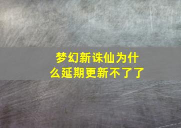 梦幻新诛仙为什么延期更新不了了