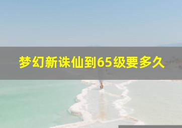 梦幻新诛仙到65级要多久