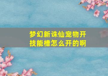 梦幻新诛仙宠物开技能槽怎么开的啊