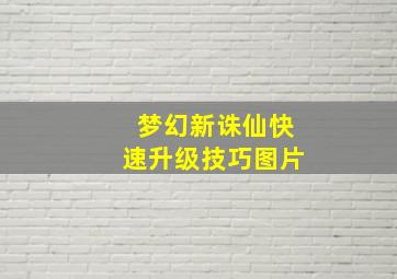 梦幻新诛仙快速升级技巧图片