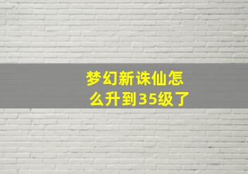 梦幻新诛仙怎么升到35级了