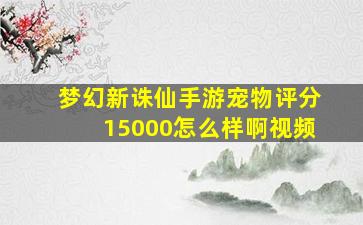 梦幻新诛仙手游宠物评分15000怎么样啊视频