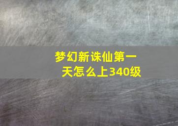 梦幻新诛仙第一天怎么上340级