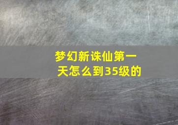 梦幻新诛仙第一天怎么到35级的