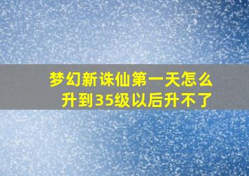 梦幻新诛仙第一天怎么升到35级以后升不了