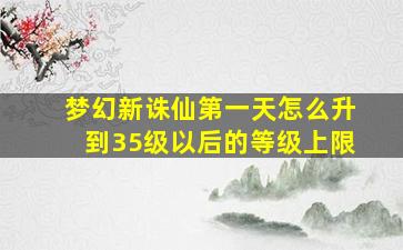 梦幻新诛仙第一天怎么升到35级以后的等级上限