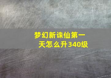 梦幻新诛仙第一天怎么升340级